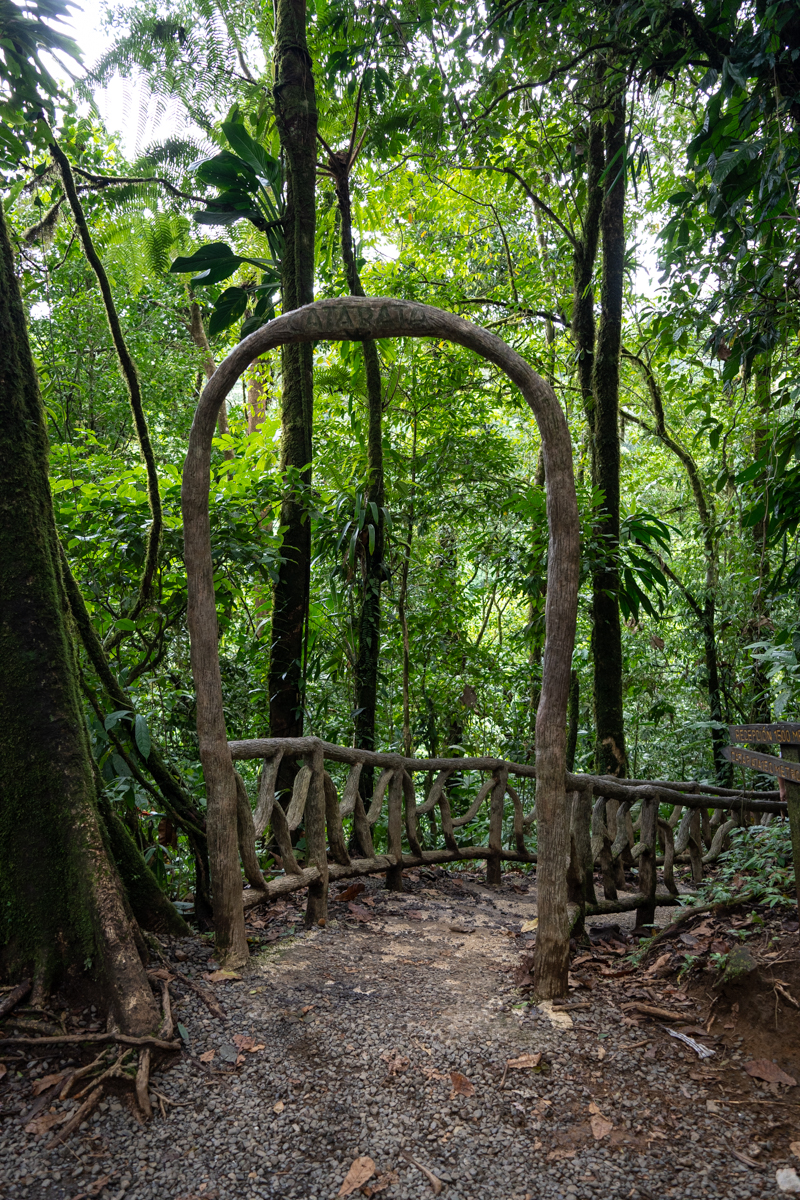 Rio Celeste Waterfall Hike: the Bright Blue Waterfall in Costa Rica