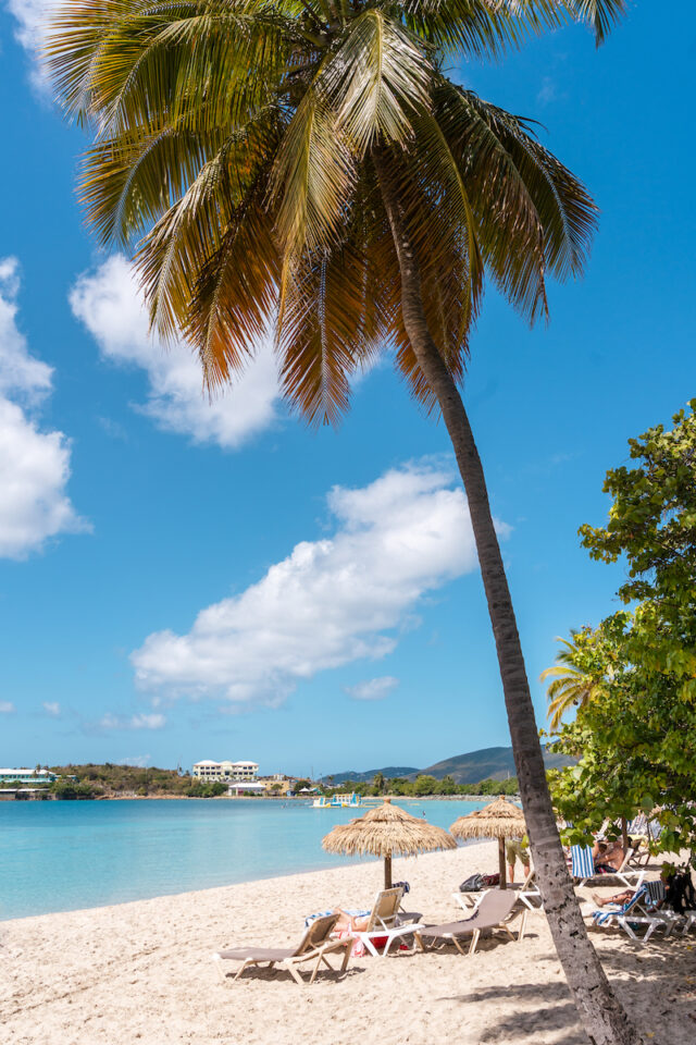 The Best Beaches in St. Thomas, US Virgin Islands • Jetset Jansen