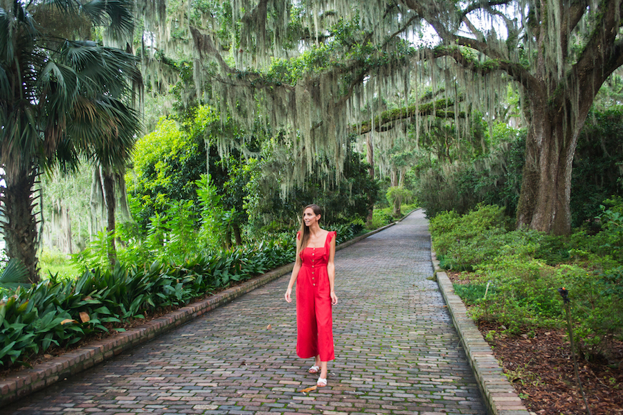 The Maclay Gardens is one of the state parks in Florida with Spanish moss hanging from the trees.
