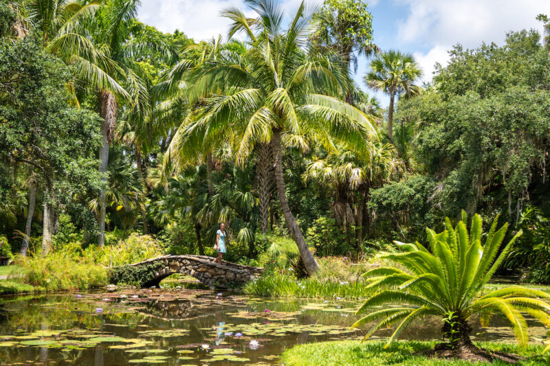 Exploring the McKee Botanical Garden in Vero Beach, Florida