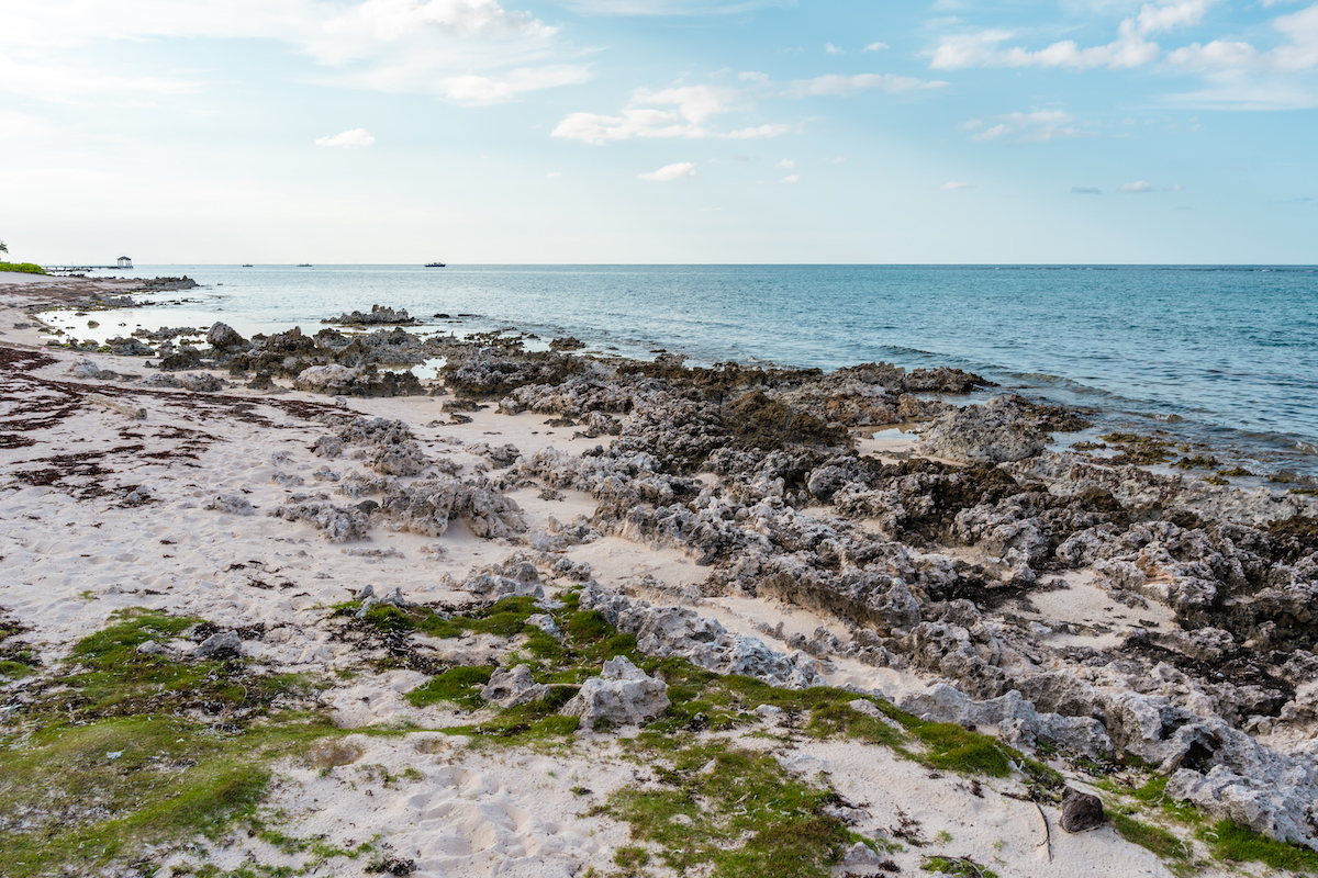 The rocky shore at Cayman Kai.