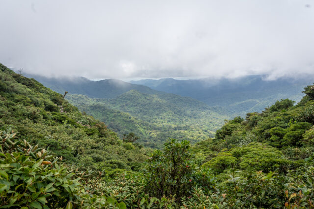 Costa Rica Weather in August: What to Expect • Jetset Jansen