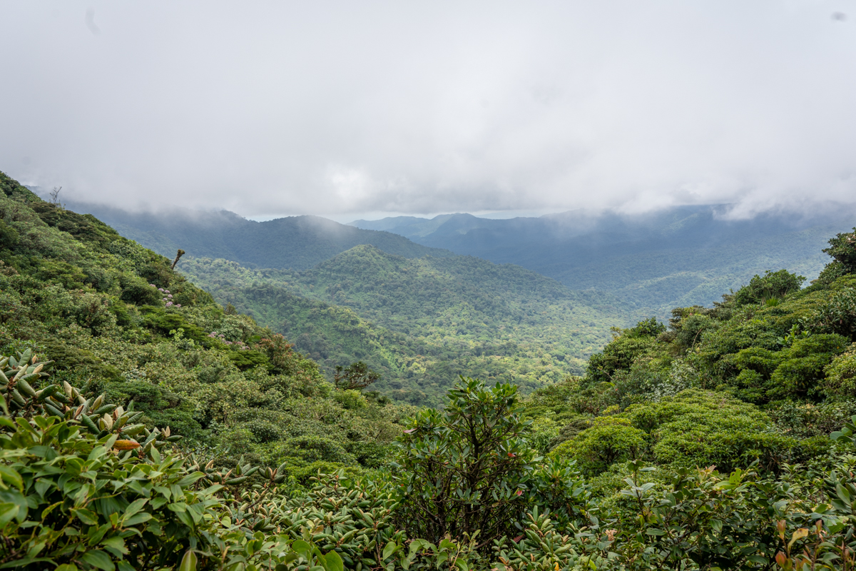 The Costa Rica weather in August can also be known as green season.