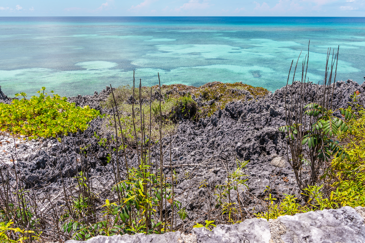 The limestone rocks on Cayman Islands.