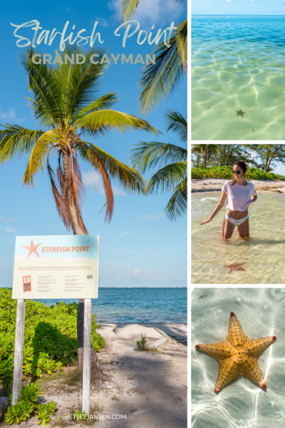 Looking for starfish at Starfish Point Grand Cayman.