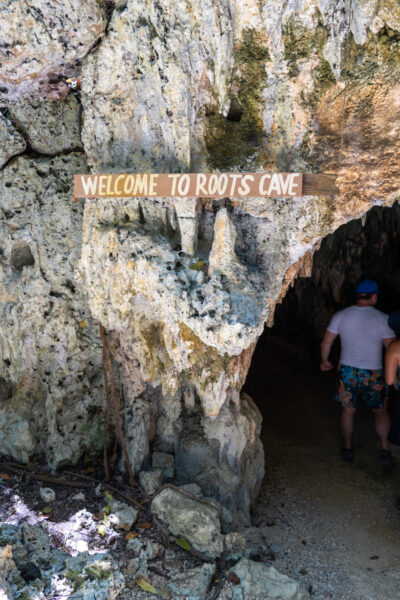 The entrance to the Roots Cave.