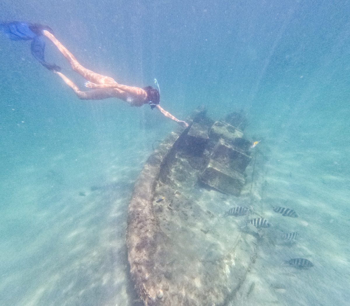 A sunken vessel along the Blue Heron Bridge snorkeling trail at Phil Foster Park in Florida.