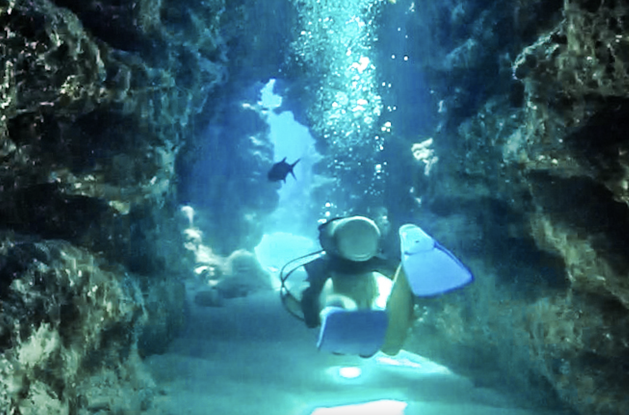 Devil's Grotto and Eden Rock–scuba diving in Grand Cayman.