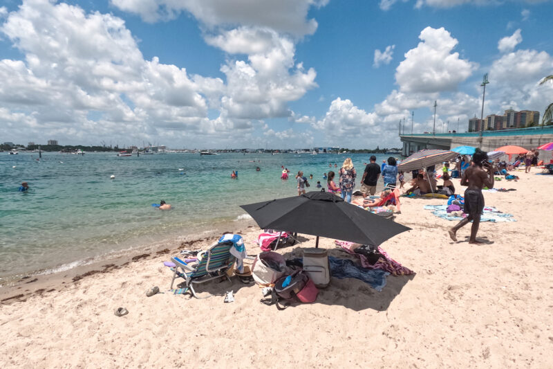 Blue Heron Bridge Snorkeling Trail At Phil Foster Park • Jetset Jansen 9453