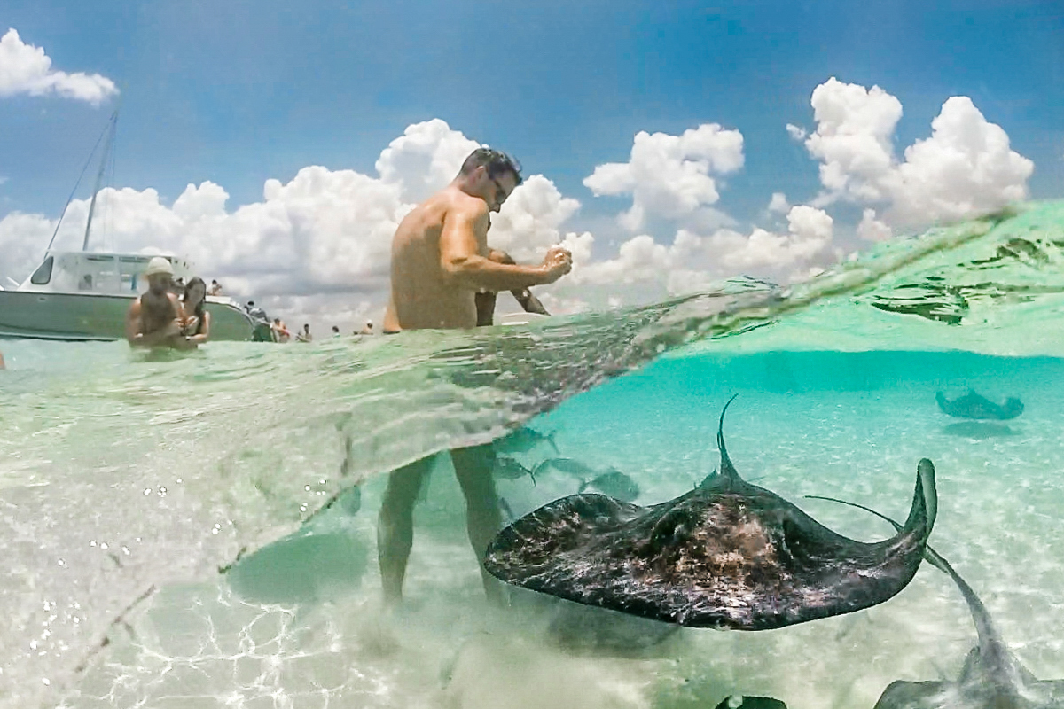 Bucket List: Swim with stingrays in the Cayman Islands.