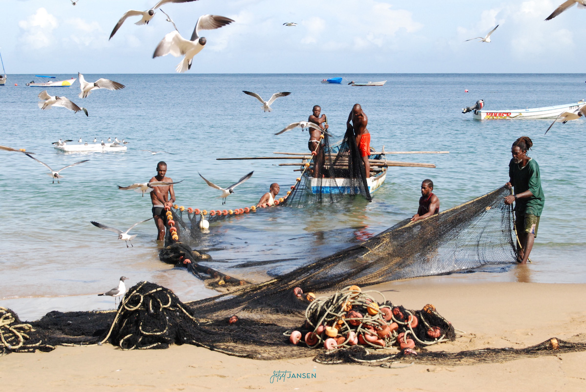 Fisherman pulling seine in Castara, Tobago.