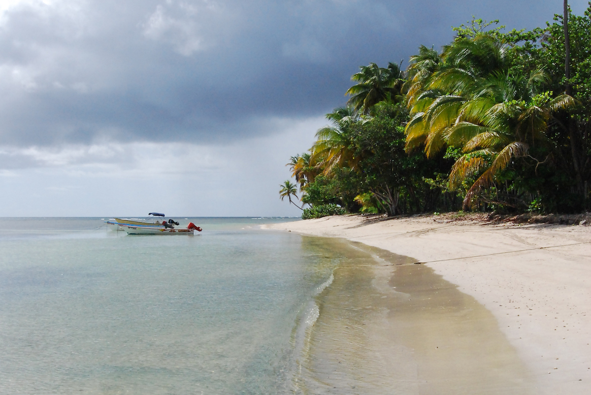 The top things to do in Tobago.