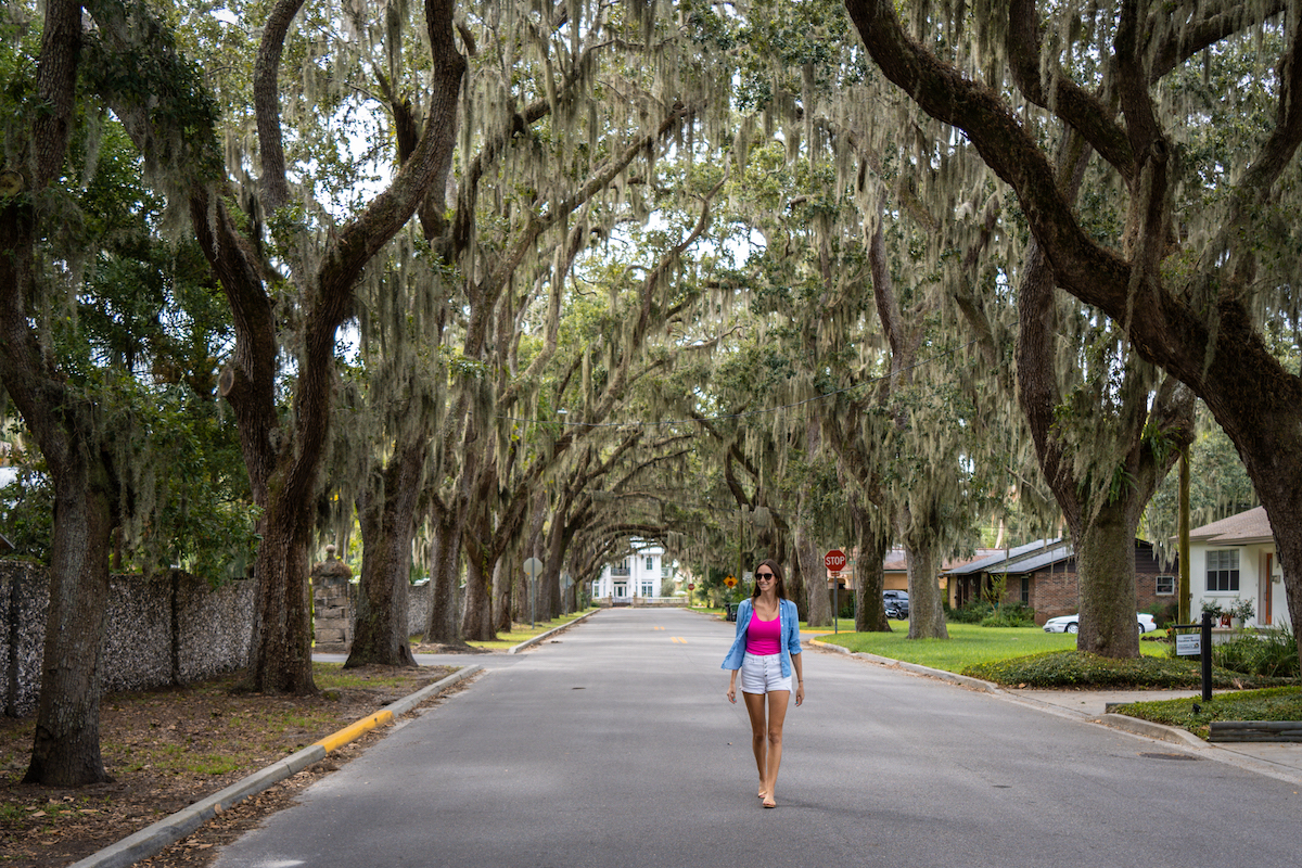 Walk down Magnolia Avenue during a weekend in St. Augustine.