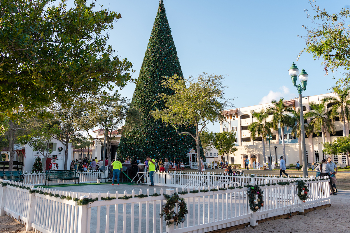 The skating rink and 100-foot Delray Beach Christmas Tree.