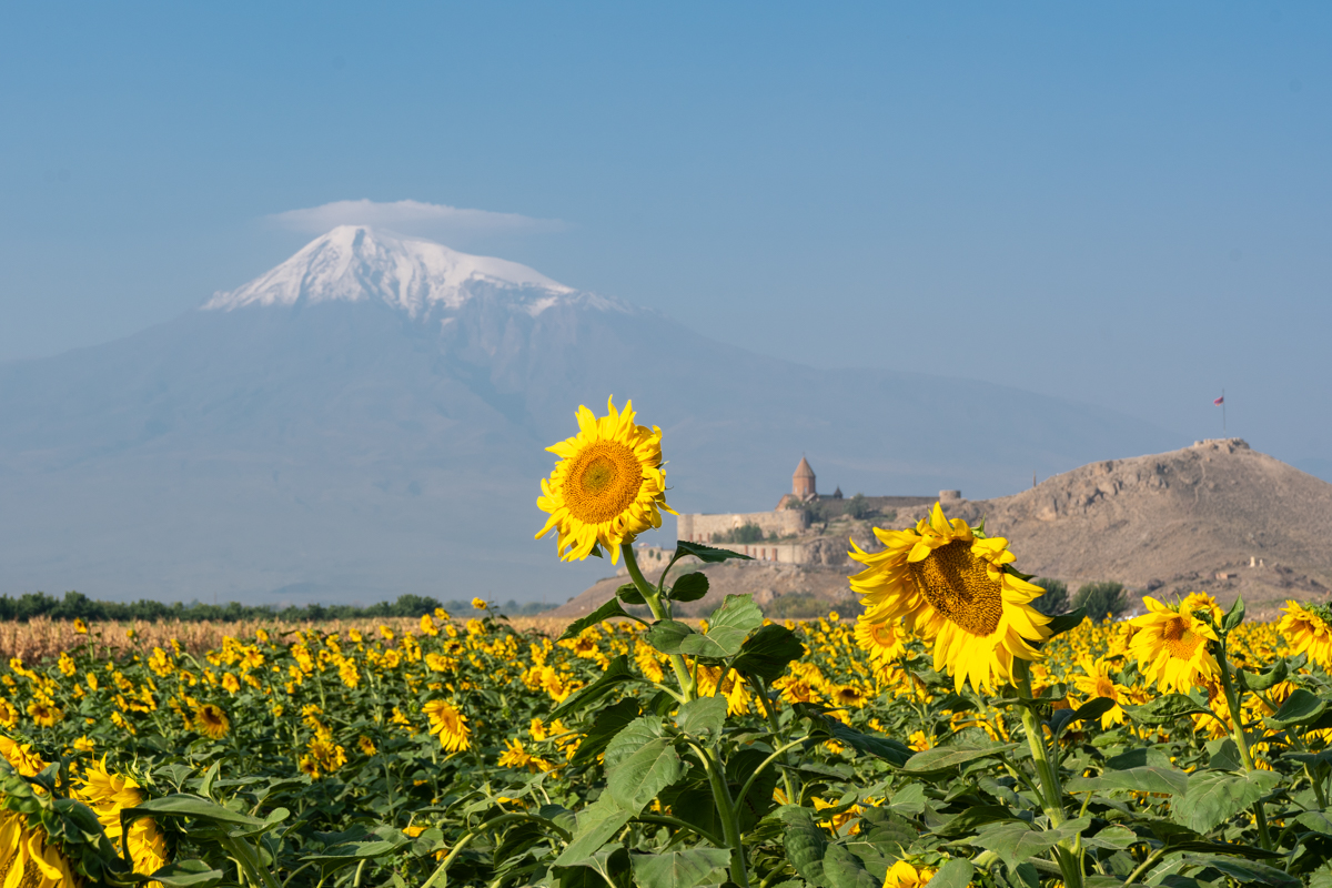 One of the prettiest monasteries in Armenia: Khor Virap.