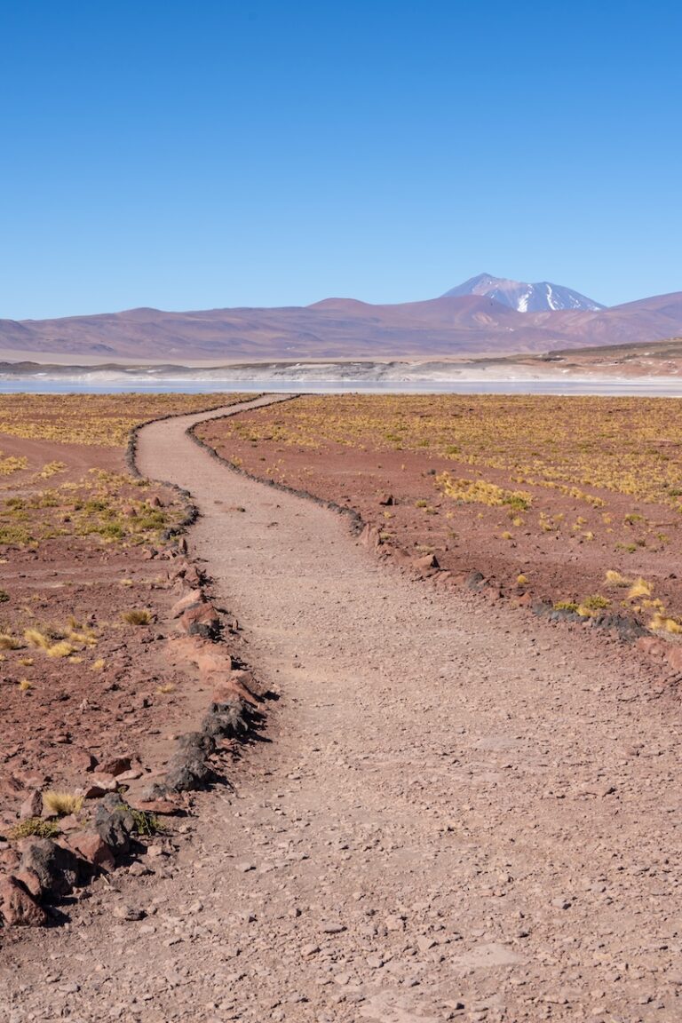 Chile Colorful Rocks Piedras Rojas: Chile's Red Stones in the Atacama Desert • Jetset Jansen