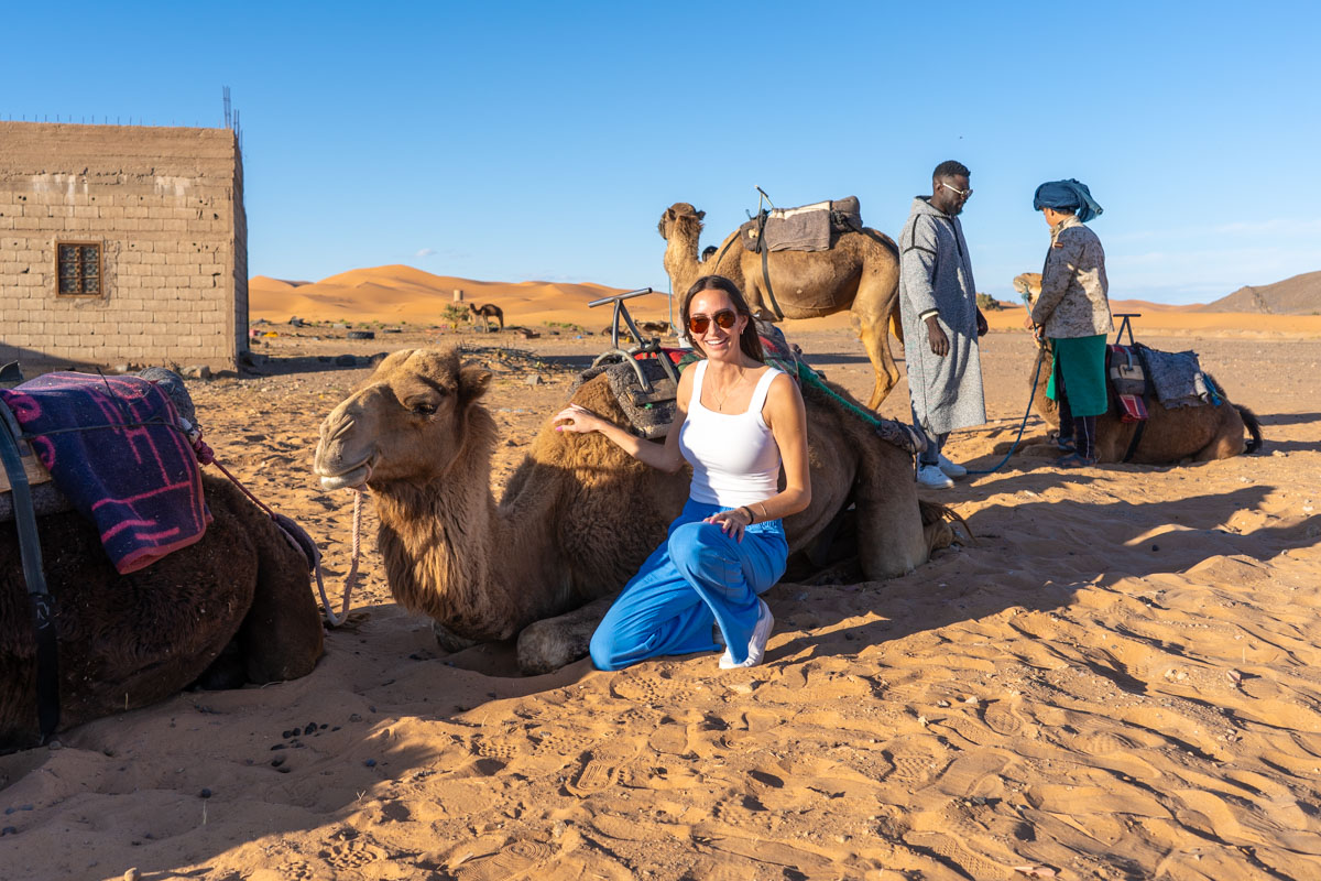 Camels in the Sahara Desert.