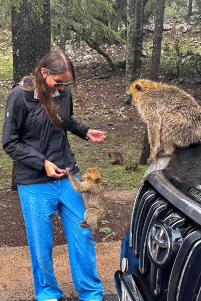 Feeding the monkeys in Cedar Forest, Morocco.