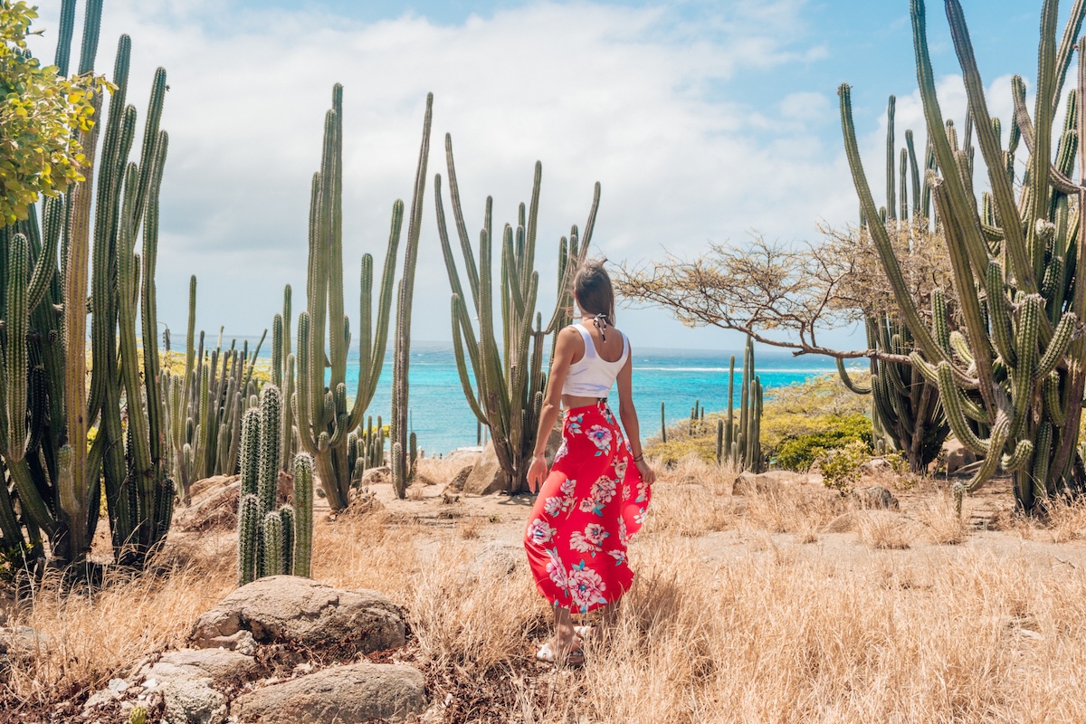 When trying to decide on Aruba vs Grand Cayman, the beaches and landscape of Aruba are hard to beat.