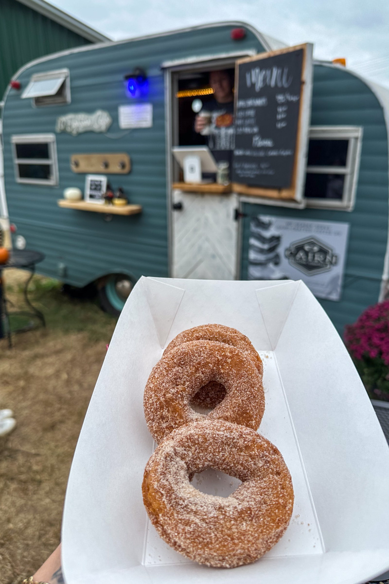 Apple cider donuts at Hodges Family Farm.