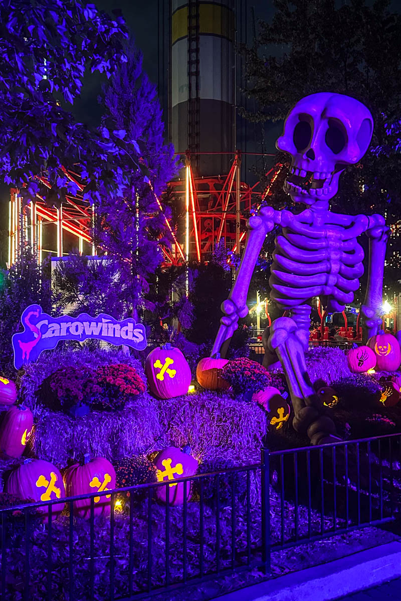 Scarowinds halloween decorations.